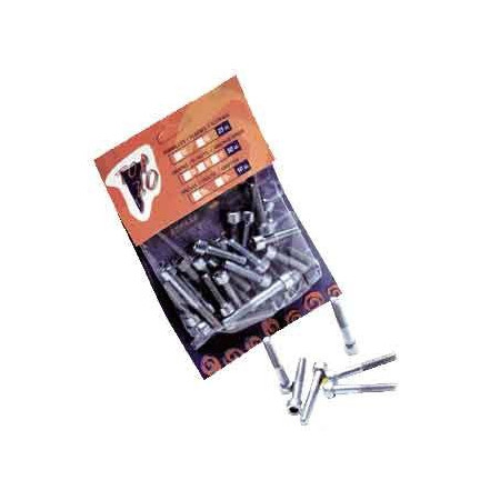 Top 30 Pack 25u tornillos Allen 8 mm