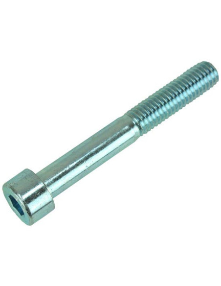 Fixe Tornillo Allen M08 x 60 mm