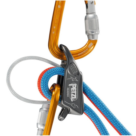 Petzl Reverso 2