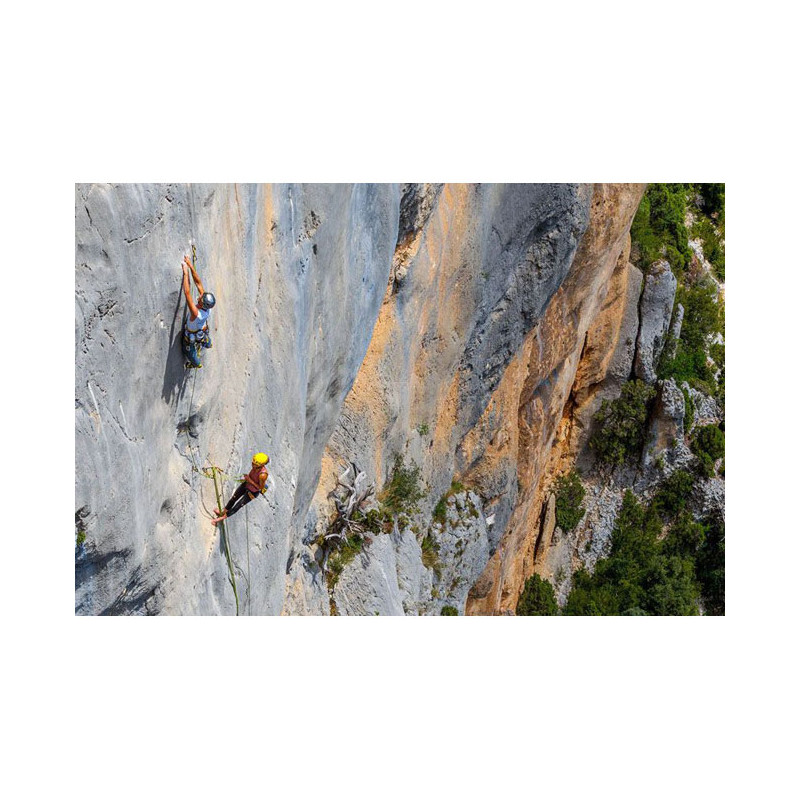 Grivel Daisy Chain Twin Evo