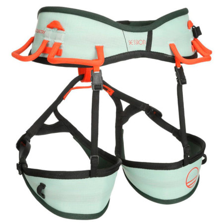 Wild Country Session W 2