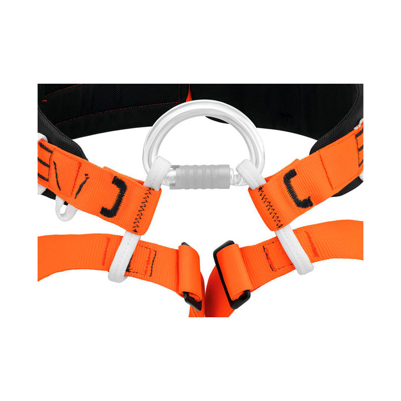 Pakinktai Petzl Aven