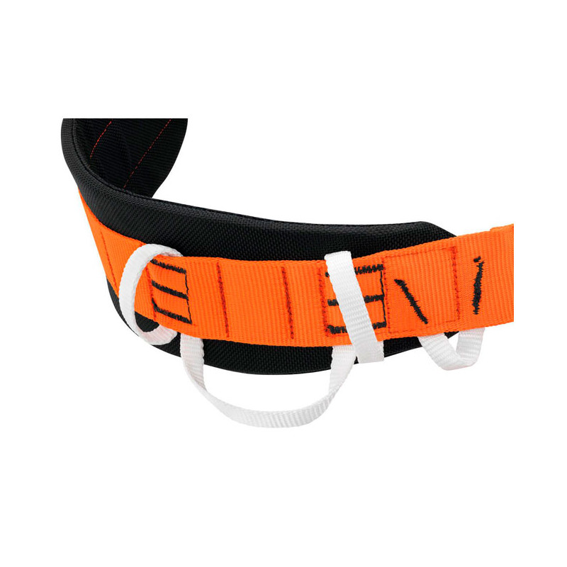 Pakinktai Petzl Aven