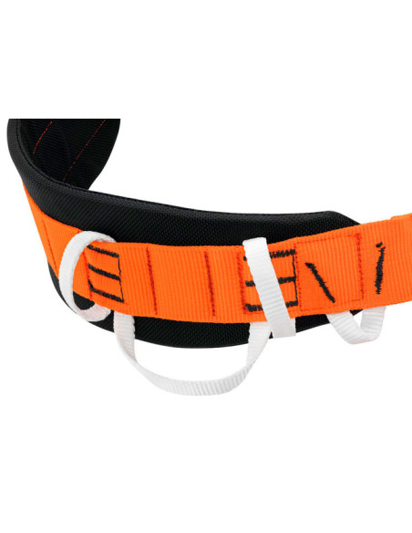 Pas Petzl Aven