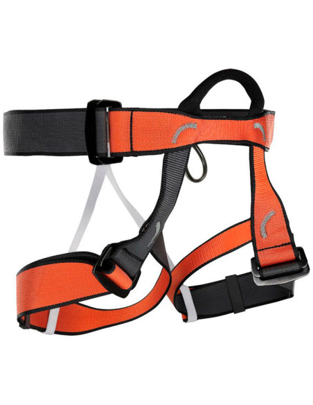 Arnés Camp Group III