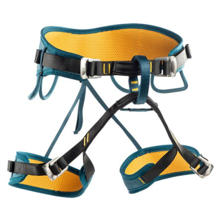 Arnés Wild Country Movement