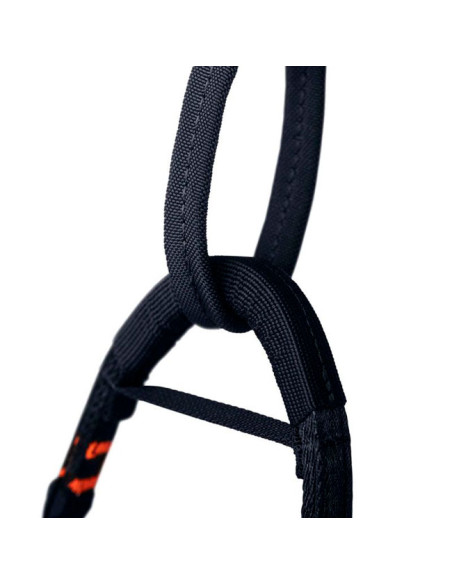 Pakinktai Mammut Eiger Norwand