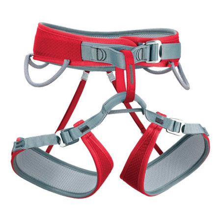 Gurt Rock Empire STREAK W