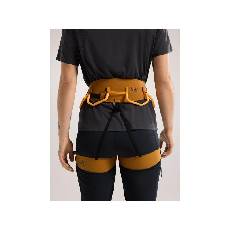 Pakinktai Arc'teryx AR 385A W