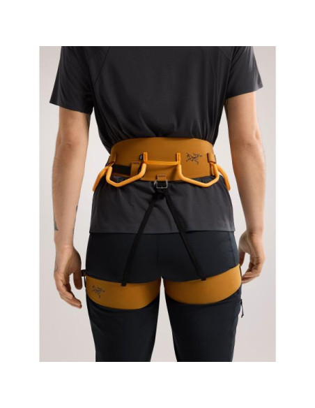 Postroj Arc'teryx AR 385A W