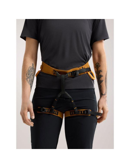 Postroj Arc'teryx AR 385A W