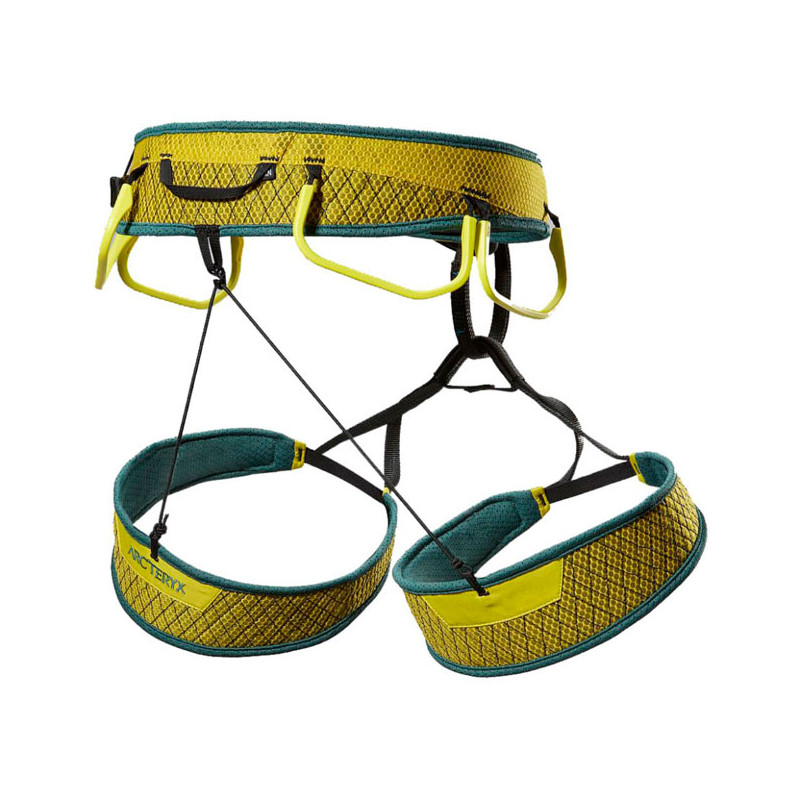 Arc'teryx Skaha Harness