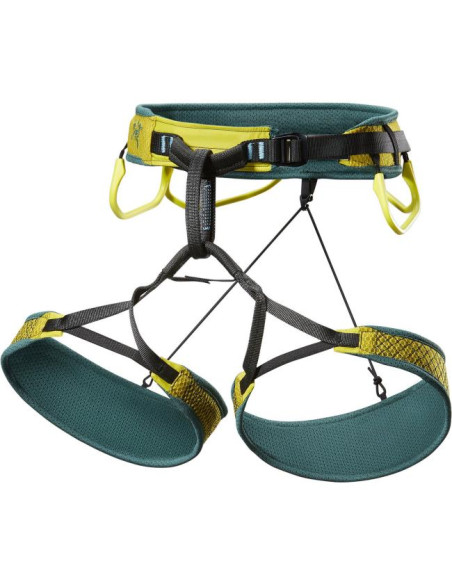 Arc'teryx Skaha Harness W