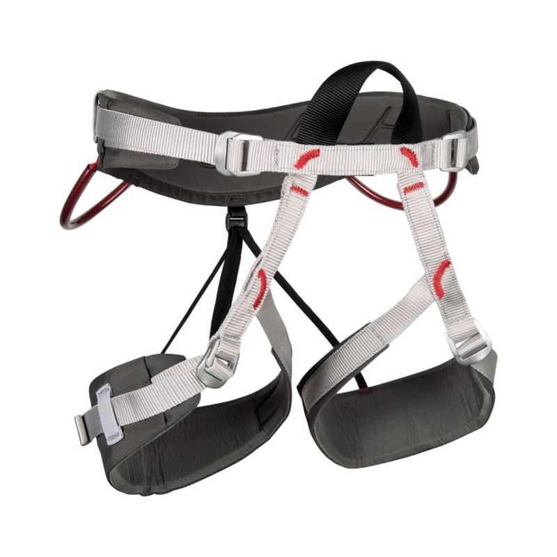 Harnas Camp ENERGY TEAM