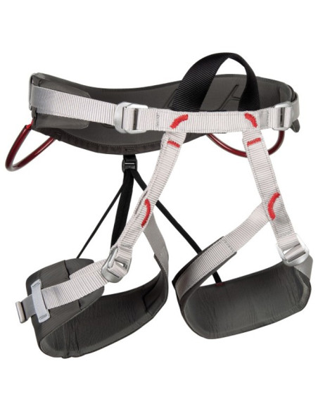 Sele Camp ENERGY TEAM