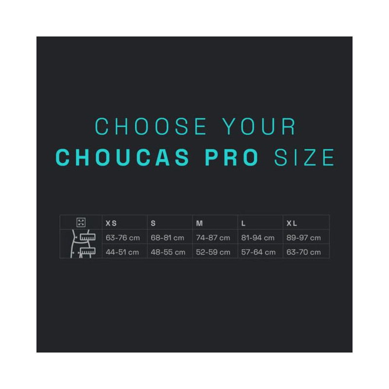 Arnés Blue Ice Choucas Pro