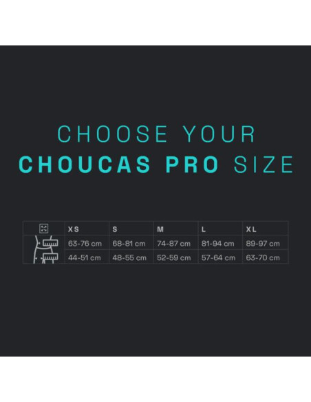 Arnés Blue Ice Choucas Pro