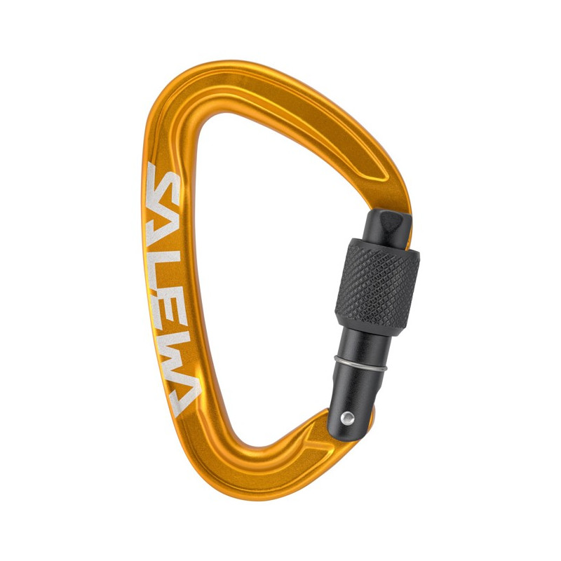 Mosquetón Salewa ORTLES SCREW
