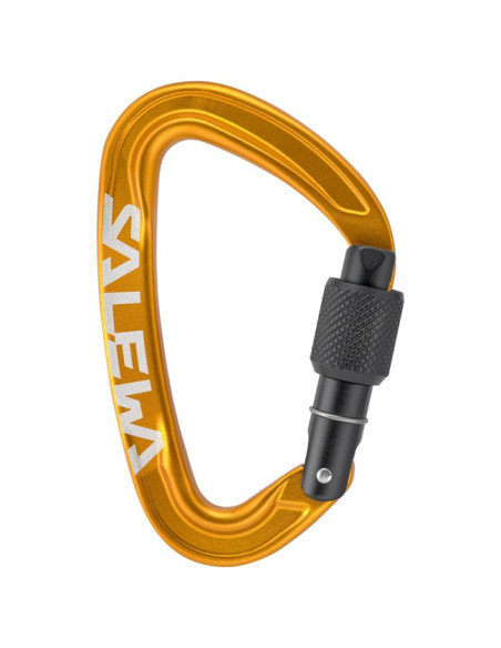 Karabinek Salewa ORTLES SCREW