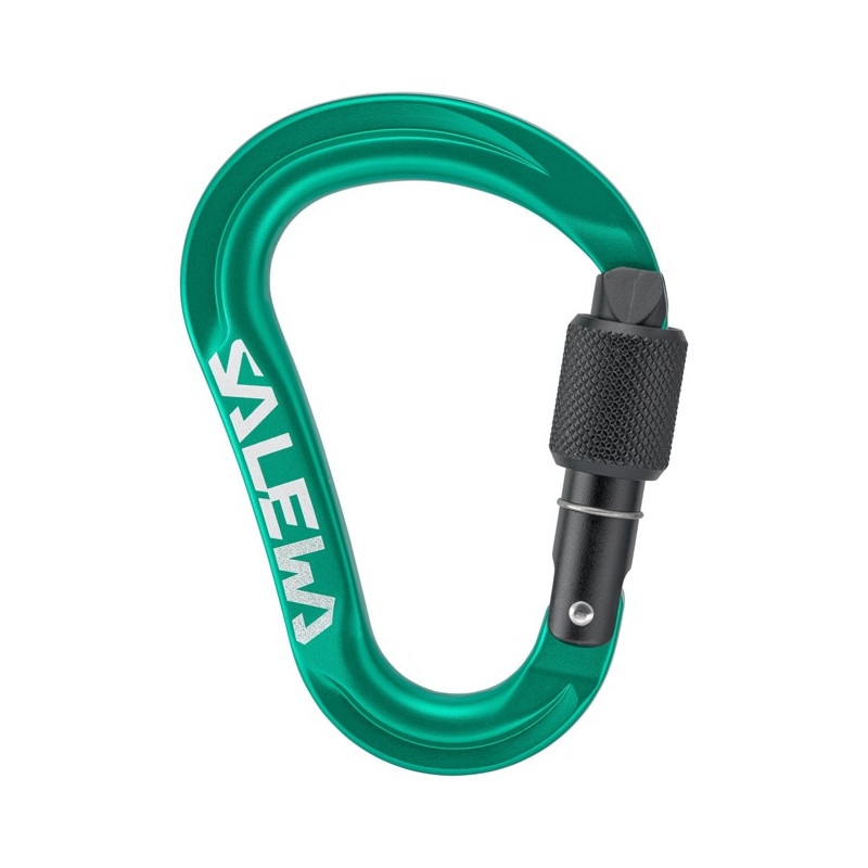 Karabiini Salewa ORTLES HMS S