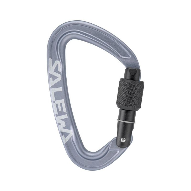 Karbinhake Salewa ORTLES SCREW