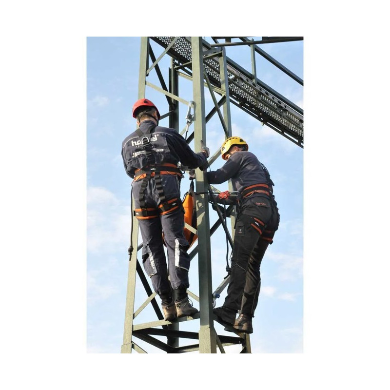 Sele Rock Empire SKILL ECON