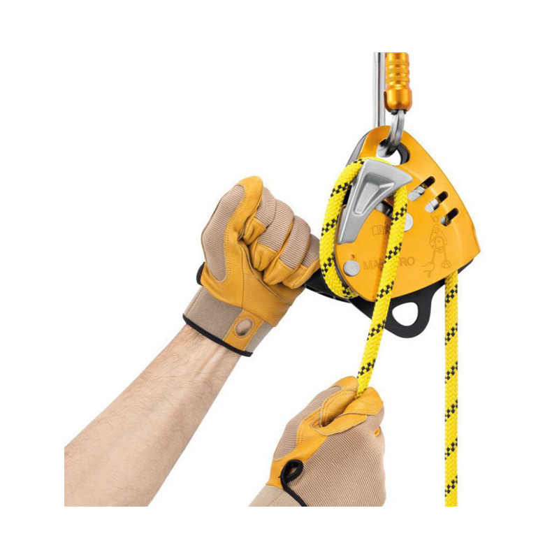 Petzl Maestro S
