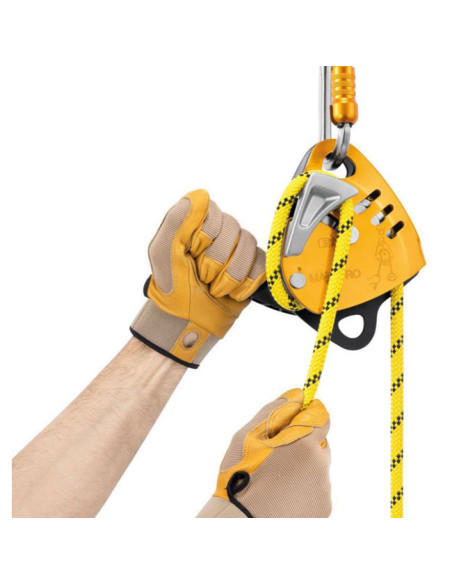 Petzl Maestro S