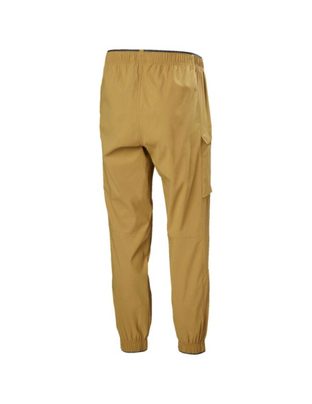 Helly Hansen VISTA HIKE PANT Lynx