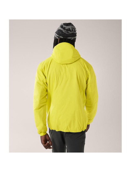 Arc'teryx Atom Hoody