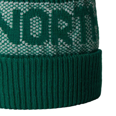 The North Face Retro Cabin Beanie 2