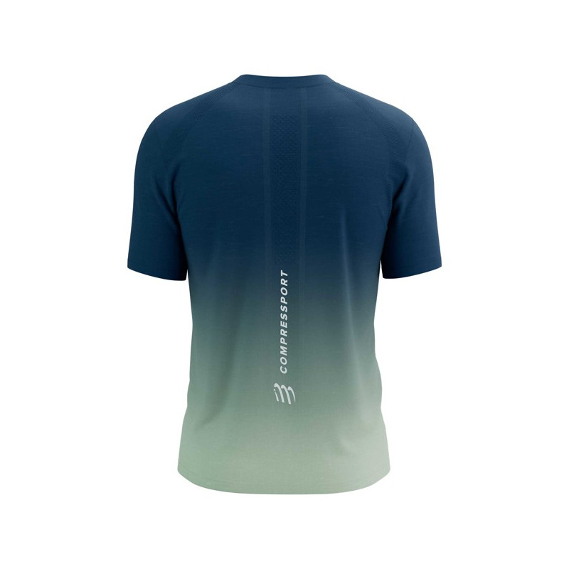 Camiseta Compressport PERFORMANCE SS TSHIRT M Poseidon/Ice Flo