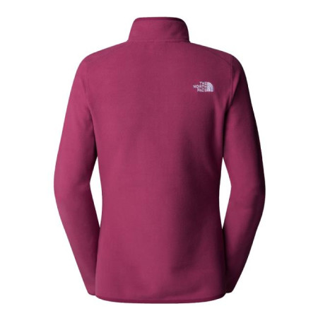 The North Face 100 Glacier 1/4 Zip W 2