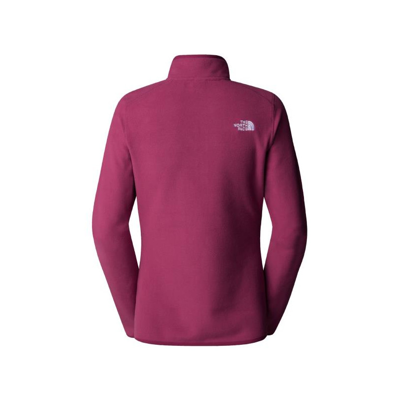The North Face 100 Glacier 1/4 Zip W