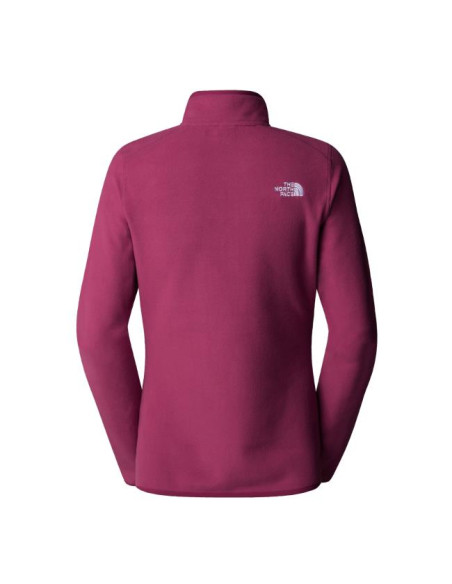 The North Face 100 Glacier 1/4 Zip W