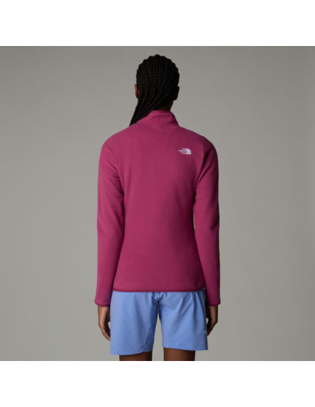 The North Face 100 Glacier 1/4 Zip W